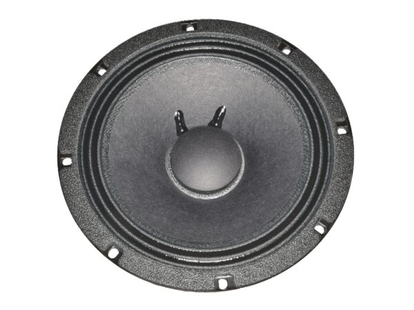 Electro Voice EV8L
