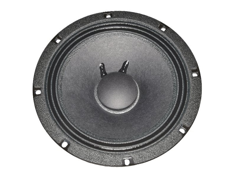 Electro Voice EV8L