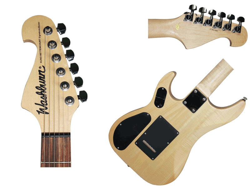 Washburn N1/NM Promin professional audiolightstage equipment