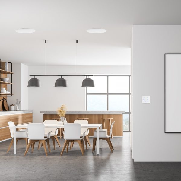 952456_inuse_living
