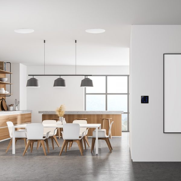 952450_inuse_living