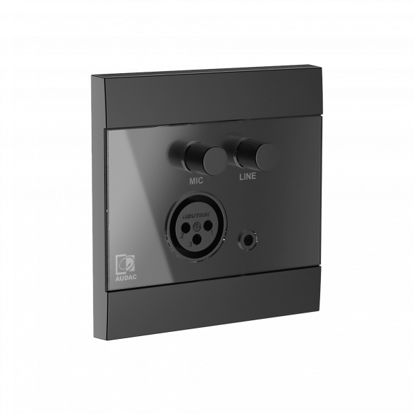 WP205_b