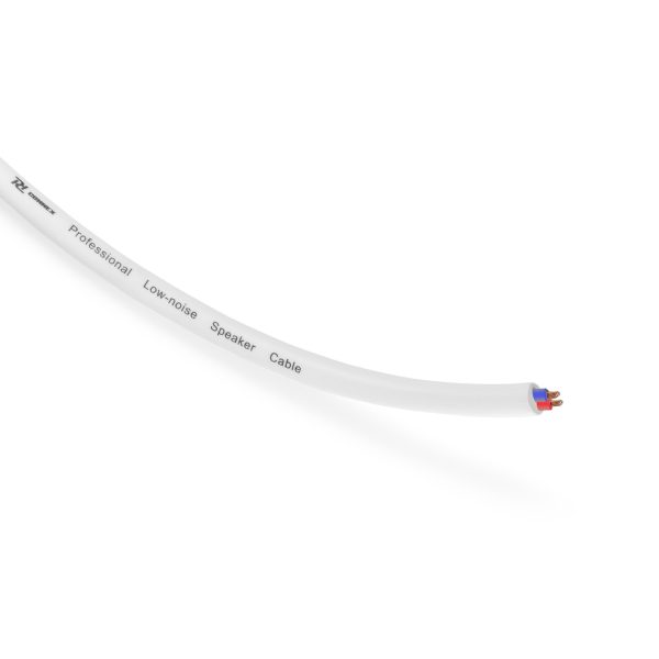 PD Connex RX10W